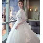 Mesh Overlay Short-sleeve Lace Wedding Ball Gown