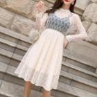 Long-sleeve Mesh A-line Dress