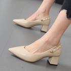 Chunky Heel Pointed Mary Jane Shoes