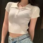 Short-sleeve Polo-neck Ribbed Knit Top White - One Size