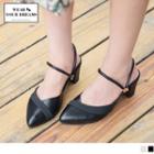 Pointy Toe Slingback Chunky Heel Sandals