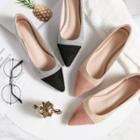 Pointed Panel Flats