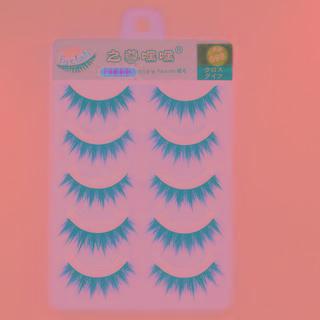 False Eyelashes (088) 5 Pairs