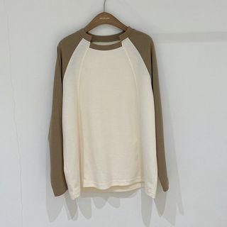 Color Block Round-neck Long-sleeve Top