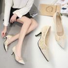 Lace Panel Pointed Pumps