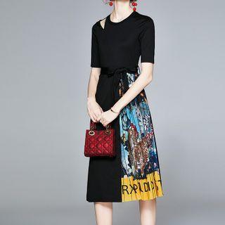 Printed Panel Accordion Pleated Midi A-line Dress