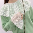 Long-sleeve Lace-panel Mesh Top