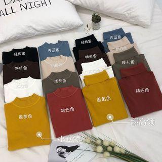 Turtleneck / Mock-neck Long-sleeve T-shirt