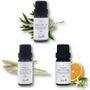 Aster Aroma - Organic Essential Oil 10ml - 3 Types