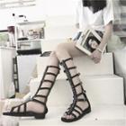 Back Zip Knee High Roman Sandals