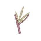 Elegant Fashion Enamel Bamboo Brooch Silver - One Size