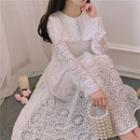 Collared Long-sleeve Midi A-line Lace Dress
