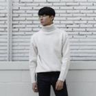 Turtle-neck Loose-fit Sweater (m~xxxxl)