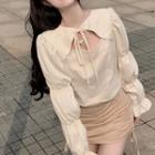 Long-sleeve Tie-neck Mesh Trim Blouse