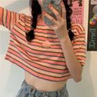 Short-sleeve Striped Peach Embroidered T-shirt Stripes - Pink & Blue & Green - One Size