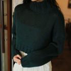 Mock-neck Cropped Rib-knit Sweater