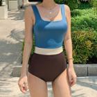 Sleeveless Color Panel Swimsuit