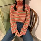 Turtleneck Color-block Stripe Sweater