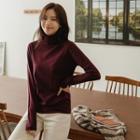 Basic Colored Turtle-neck Knit Top