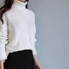 Ribbed Turtle-neck Wool Blend Sweater