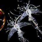 Set Of 2: Bird Faux Crystal Hair Clip 1 Pair - Transparent - One Size