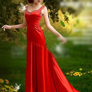 Embellished Evening Gown