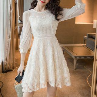 Long-sleeve Feathered Mesh A-line Mini Dress