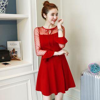 Ruffle Sleeve Tulle Panel A-line Dress