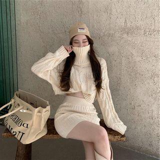 Long-sleeve Turtle Neck Cable Knit Cropped Sweater