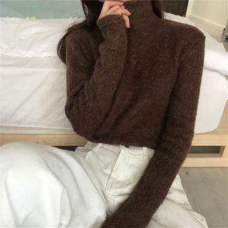 Plain High-neck Brushed Long-sleeve Fleeced Top