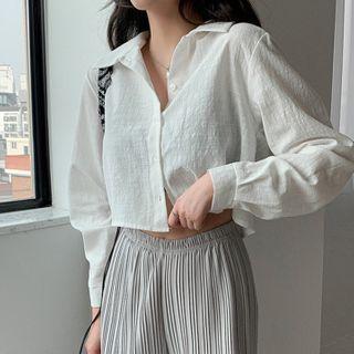 Cropped Sheer Shirt
