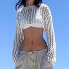 Long-sleeve Crew-neck Perforated Crop Sweater