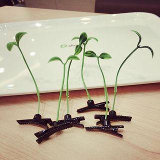 Hair Clip (4 Designs)