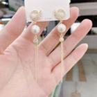Rhinestone Faux Pearl Alloy Fringed Earring 1 Pair - White - One Size