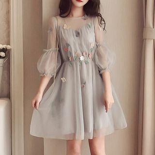 Lantern-sleeve Mini A-line Mesh Dress