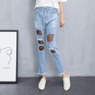 Fray Mesh Panel Cropped Jeans
