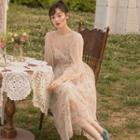 Long-sleeve Flower Embroidery Midi A-line Mesh Dress