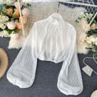 Balloon-sleeve Cropped Mesh Blouse White - One Size