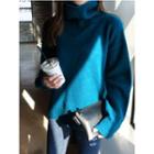 Turtle-neck Colored Dip-back Sweater