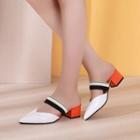 Color Panel Chunky Heel Pointed Slide Sandals