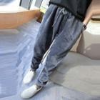 Drawstring Plain Velvet Sweatpants