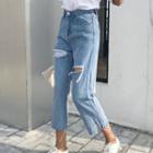 Rip Cropped Straight Fit Jeans