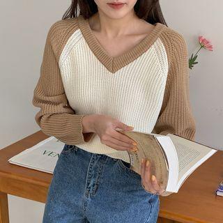 Raglan Two-tone Knit Top