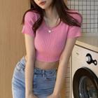 Short-sleeve Round-neck Cropped Knit Top