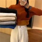 Long-sleeve Turtleneck Striped Trim Knit Top