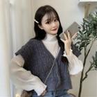 Plain Turtle-neck Loose-fit Long-sleeve Top / Plain V-neck Single-breasted Loose-fit Knit Vest