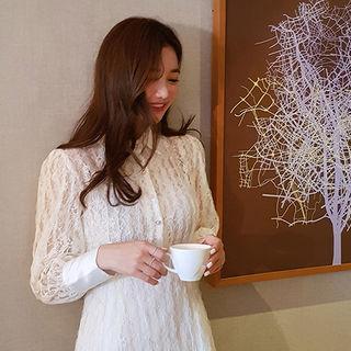 Sheer Lace A-line Mini Dress