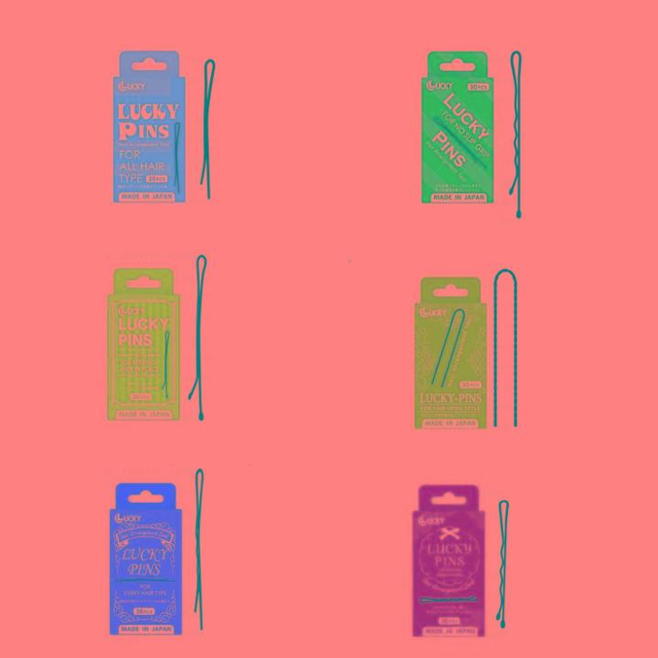 Lucky Trendy - Bobby Pin - 6 Types