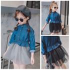 Mesh Panel Denim Dress
