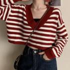Striped V-neck Crop Sweater